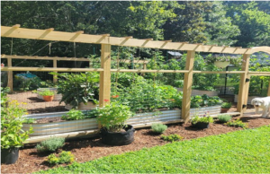 cheap raised garden beds for sale