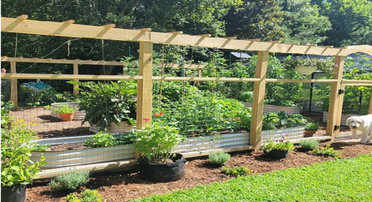 cheap raised garden beds for sale