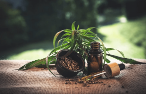 Some Interesting Facts about CBD