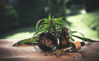 Some Interesting Facts about CBD