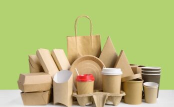 Businesses of Biodegradable Packaging